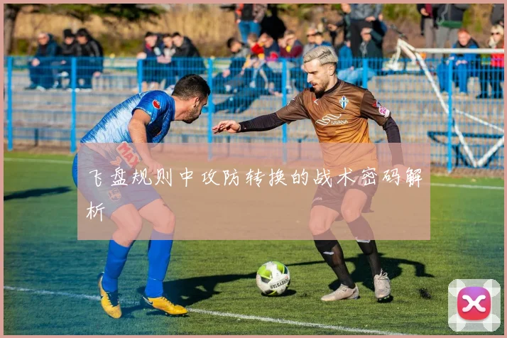 飞盘规则中攻防转换的战术密码解析