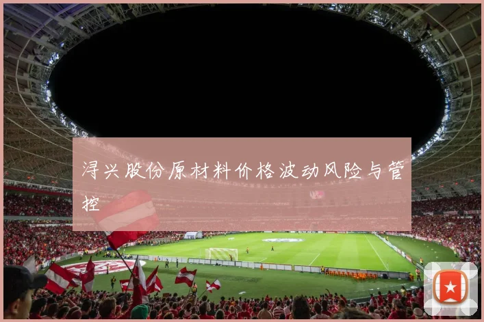 浔兴股份原材料价格波动风险与管控